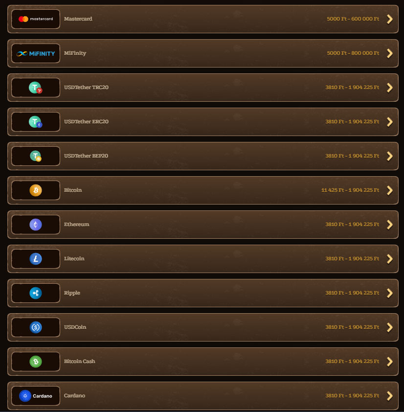 Lizaro Casino Payment Methods