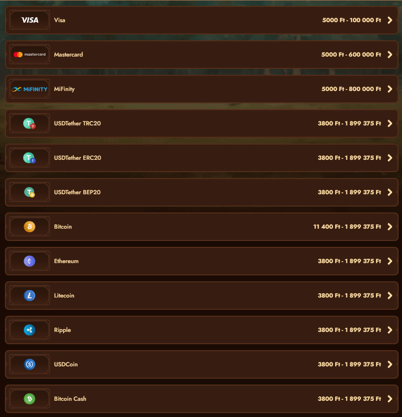 WildRobin Casino Payments