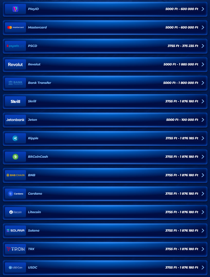 BassBet Kaszinó Payments