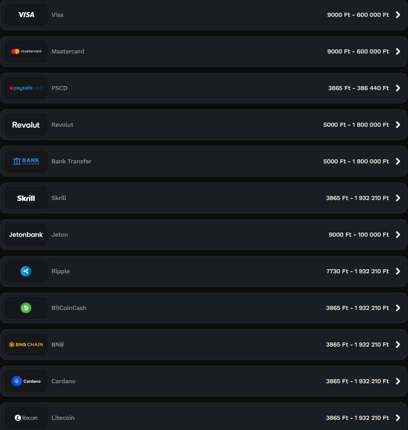 Wildsino-Casino-Payments